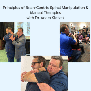 Principles of Brain-Centric Spinal Manipulation & Manual Therapies